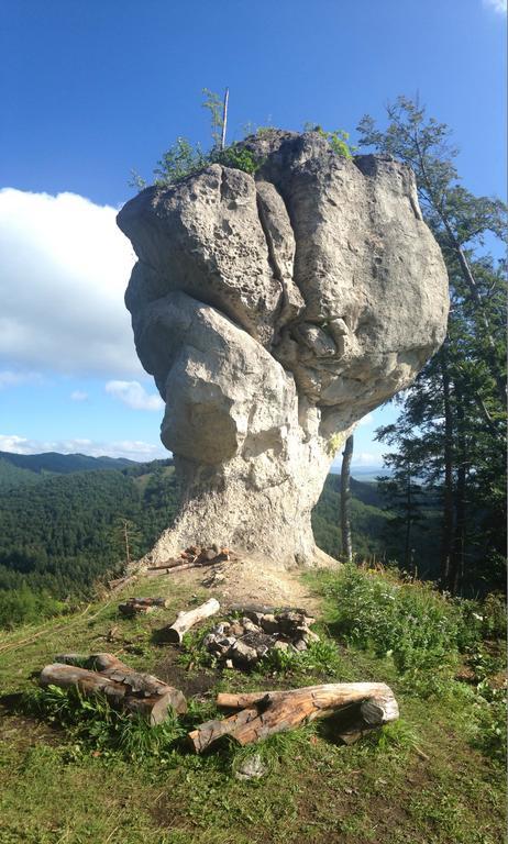 Babkov Chata Patuchヴィラ エクステリア 写真